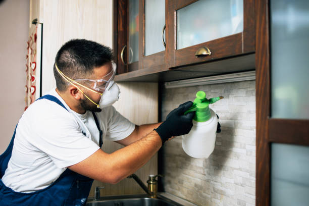Trusted Thompson Falls, MT Pest Control Experts