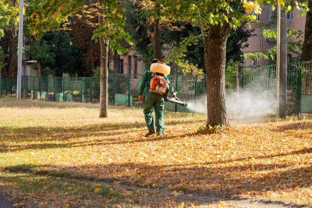 Best Mosquito Control Services  in Thompson Falls, MT