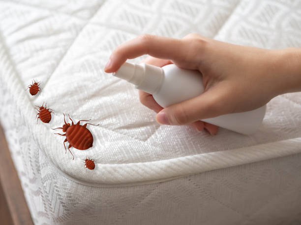 Best Cockroach Control Services  in Thompson Falls, MT